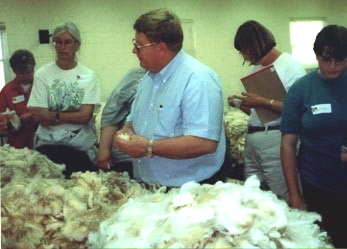 Wool Fleece Judging Class, 2000