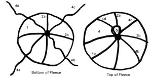 Diagram of tieing a fleece